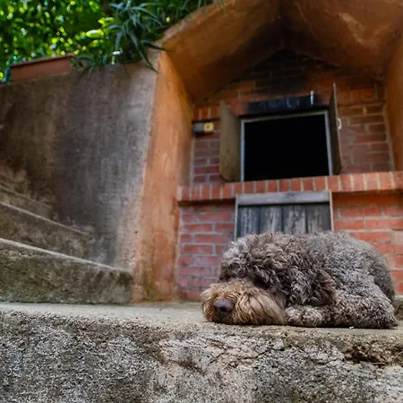 Apartman Casa Porozina - Cozy & - Paradise 300m