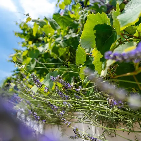 Casa Porozina - Cozy & - Paradise 300m Apartman *